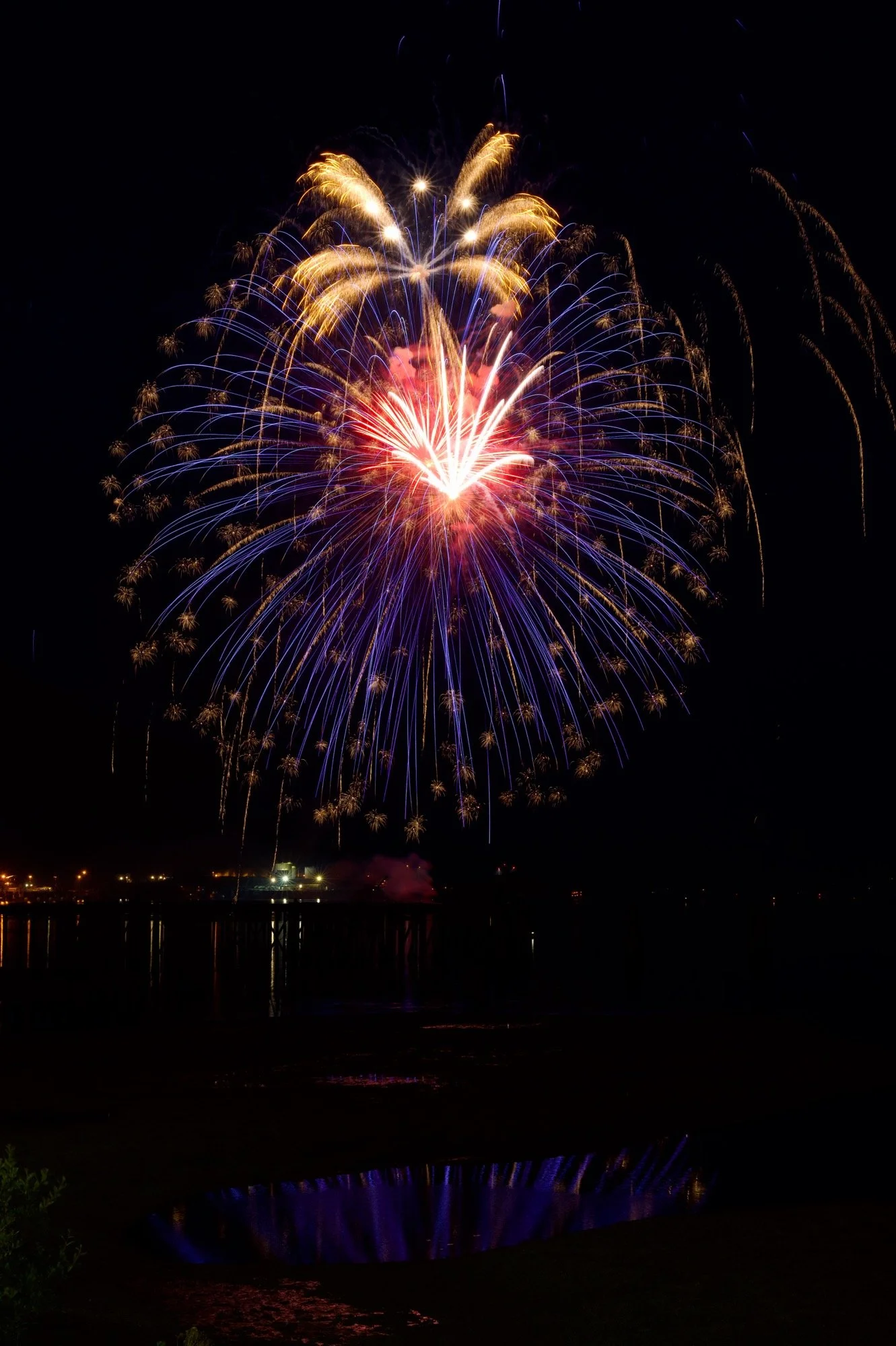 Palm tree flare Z62_7493_resize.jpg