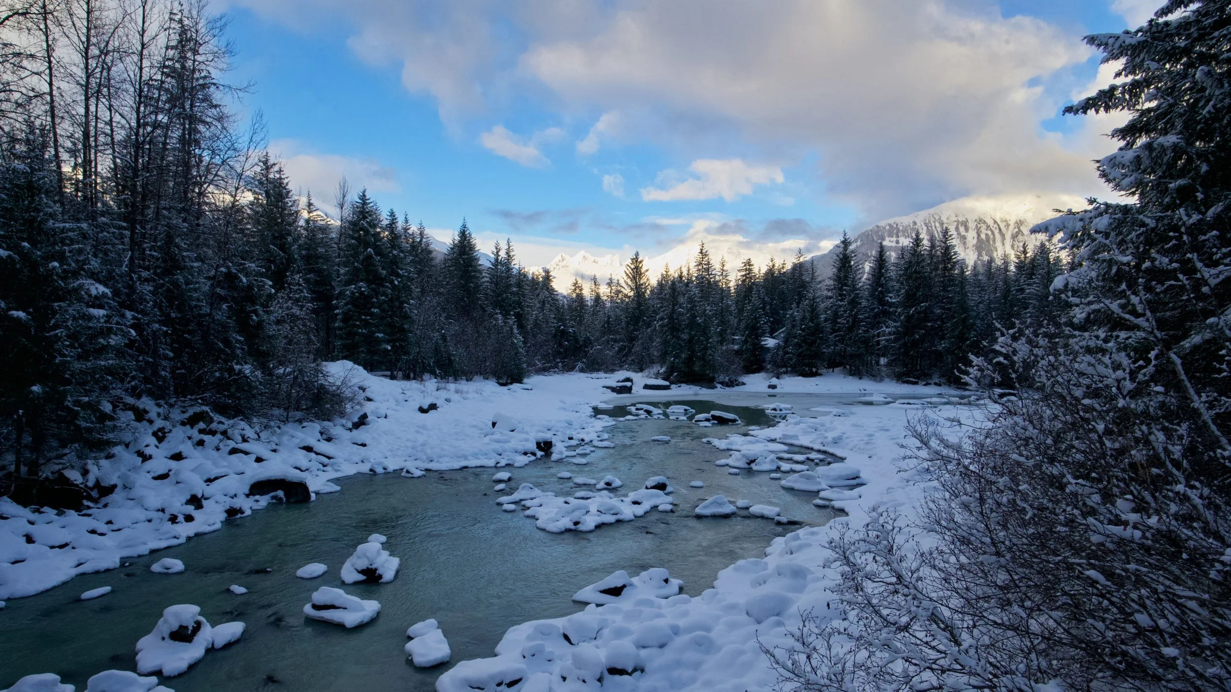 Mendenhall River Z62_5442_resize.jpg