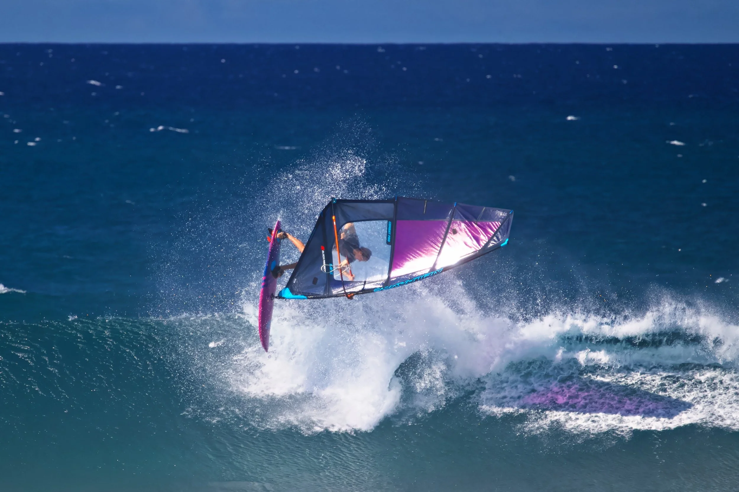 Windo in Purple Z62_2171_resize.jpg