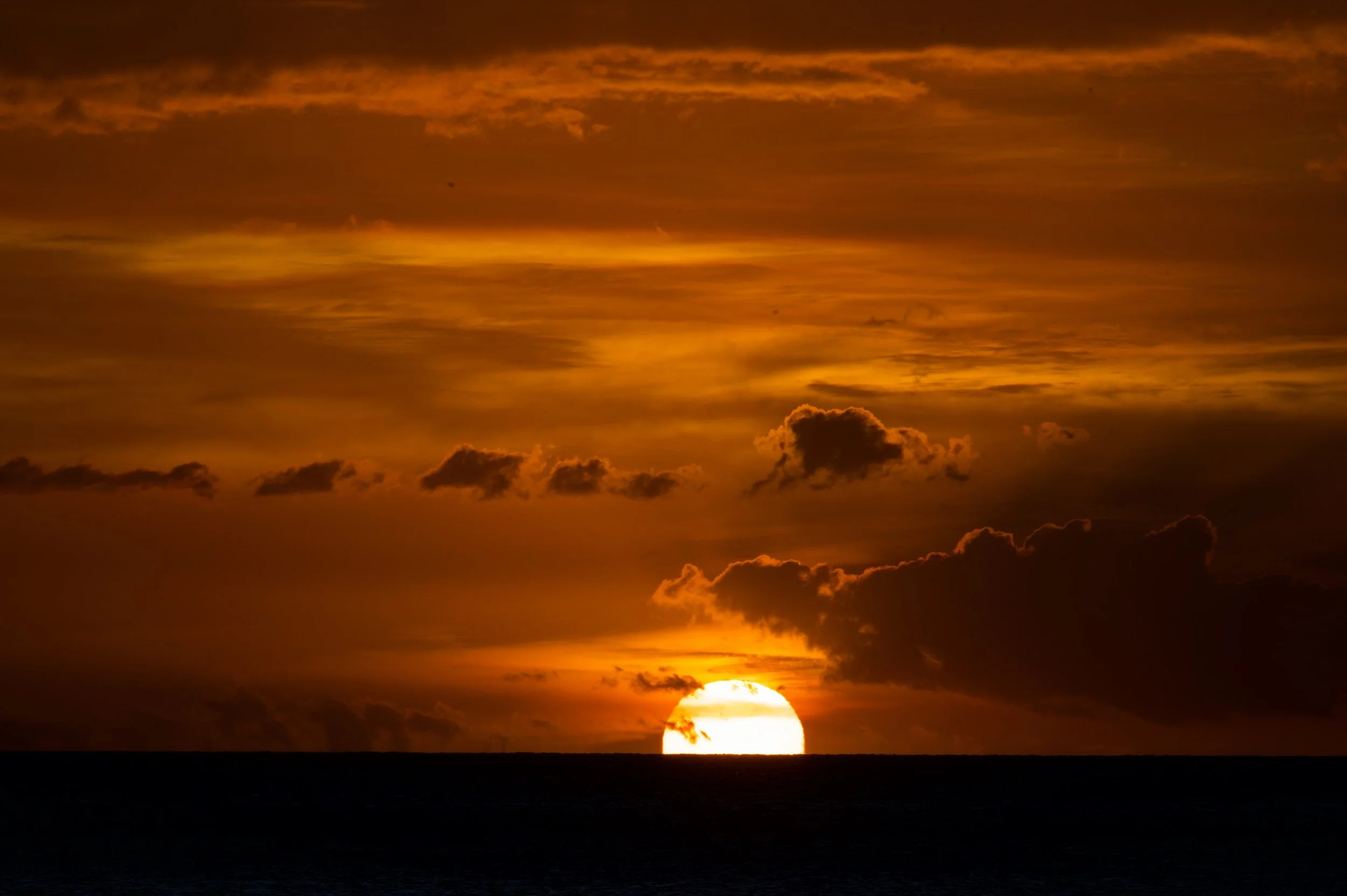 Sunset 2 Z62_3458_resize.jpg