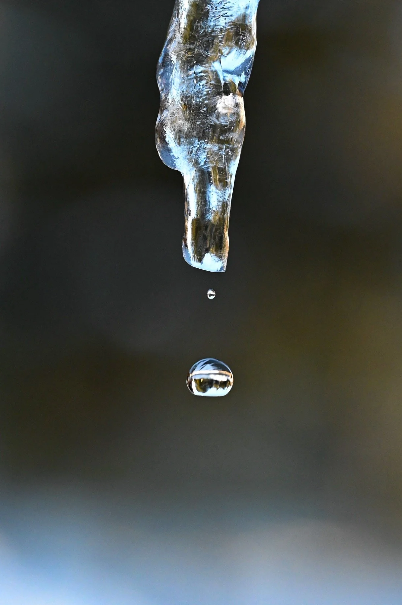 DSC_4280_resize.JPG