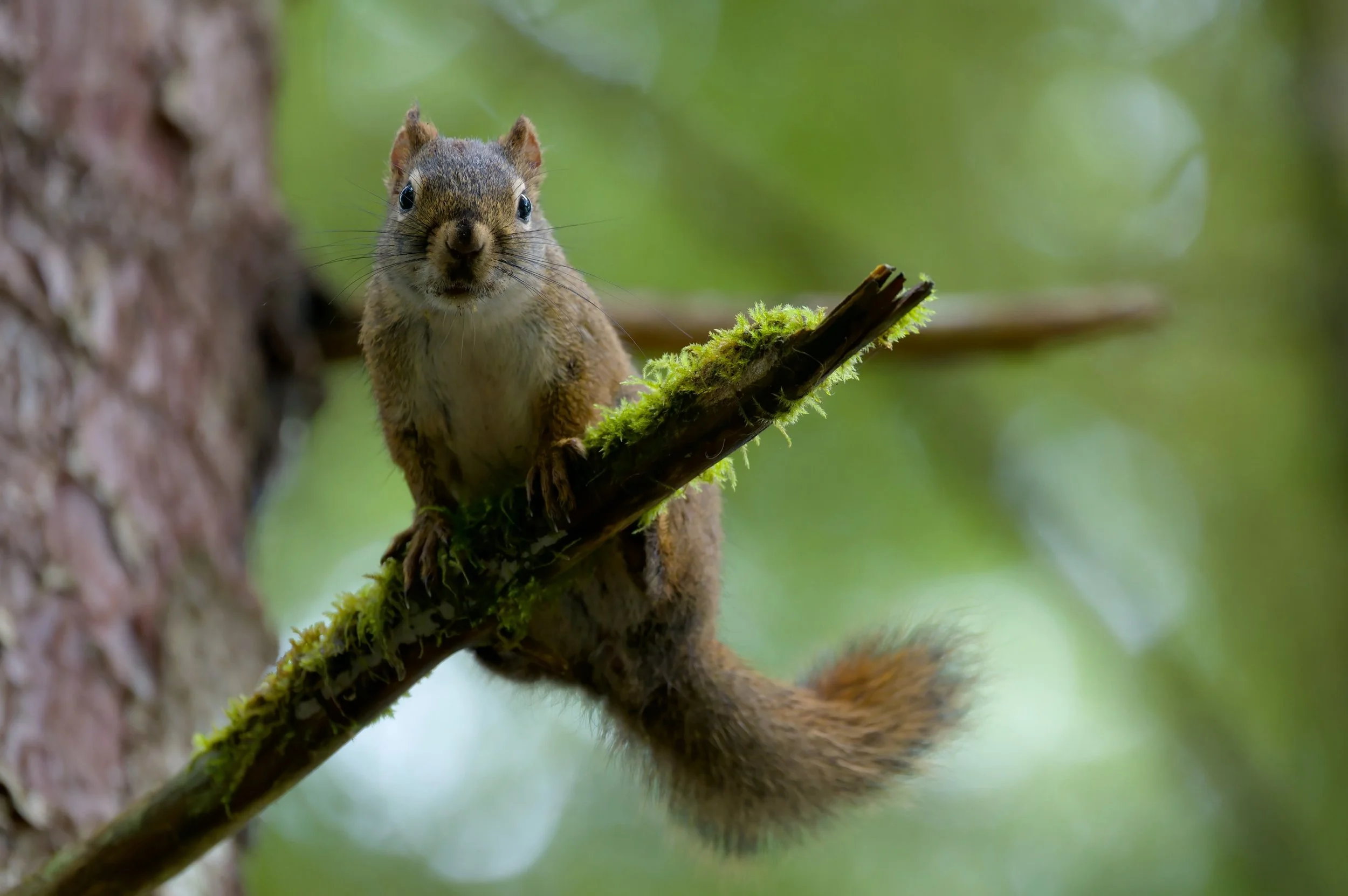 DSC_0557-DxO_DeepPRIME 3_resize.jpg