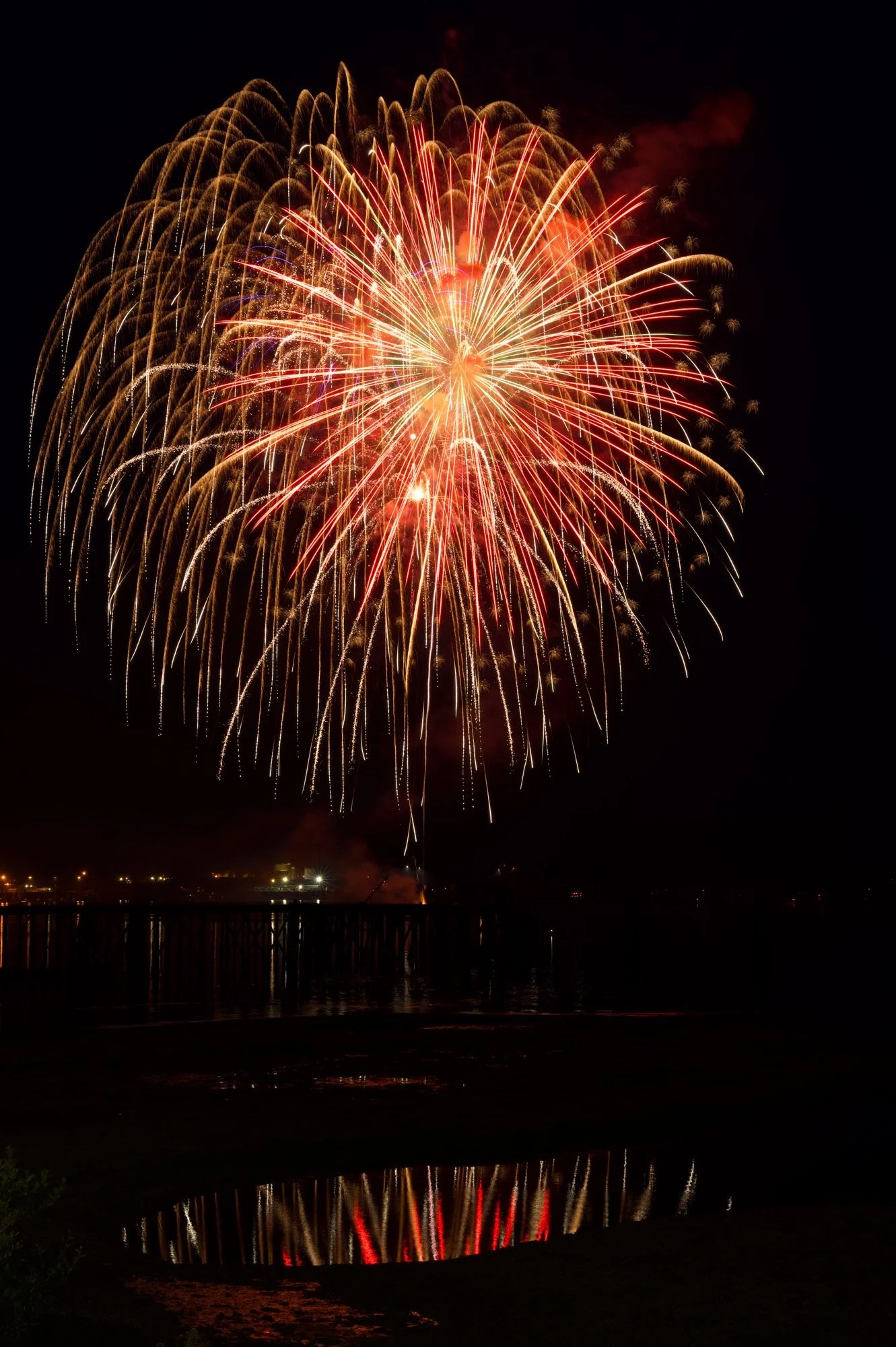 Orange Burst Z62_7481_resize.jpg
