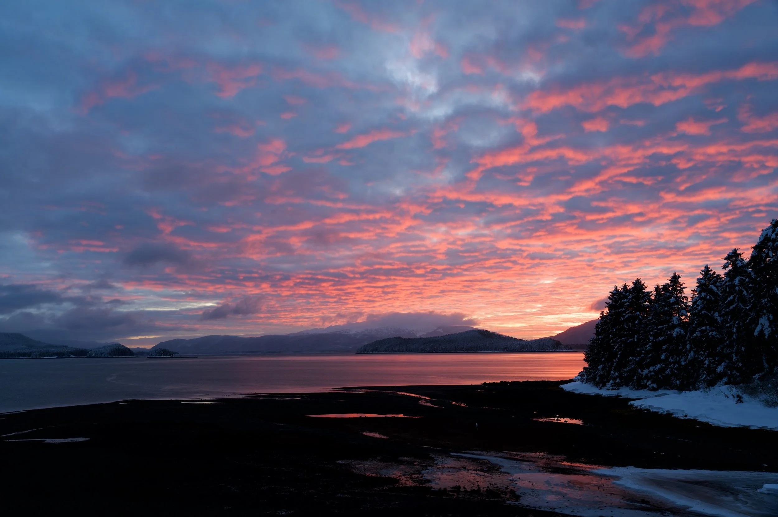 Rosie's Sunset DSC_0443-DxO_DeepPRIME XD2s_resize.jpg