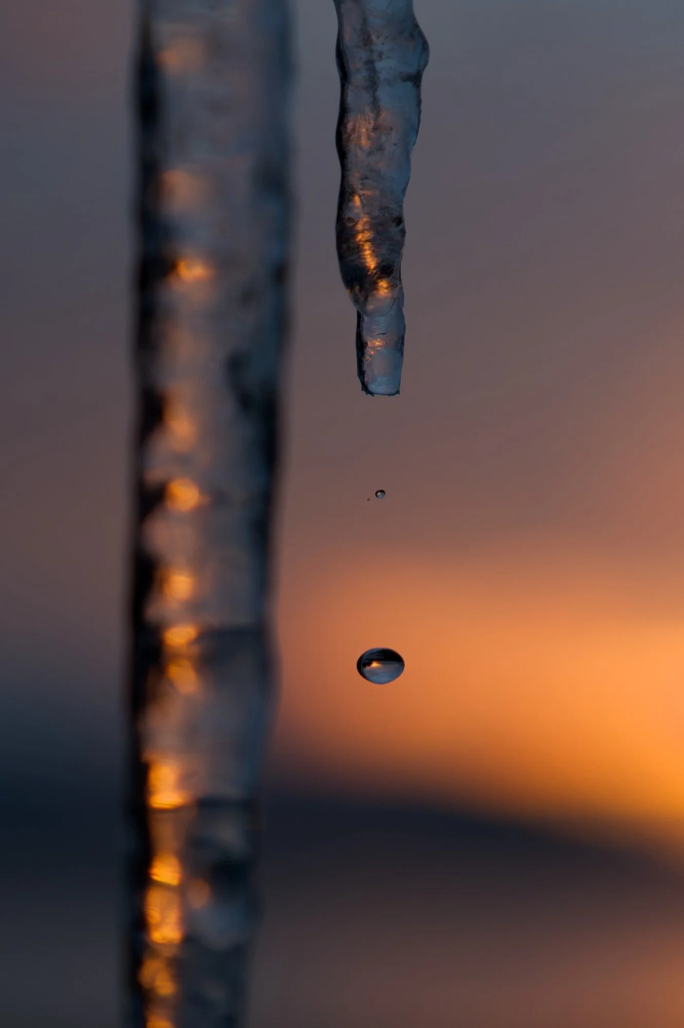 Icicle Drip 1 DSC_0335-DxO_DeepPRIME XD2s_resize.jpg