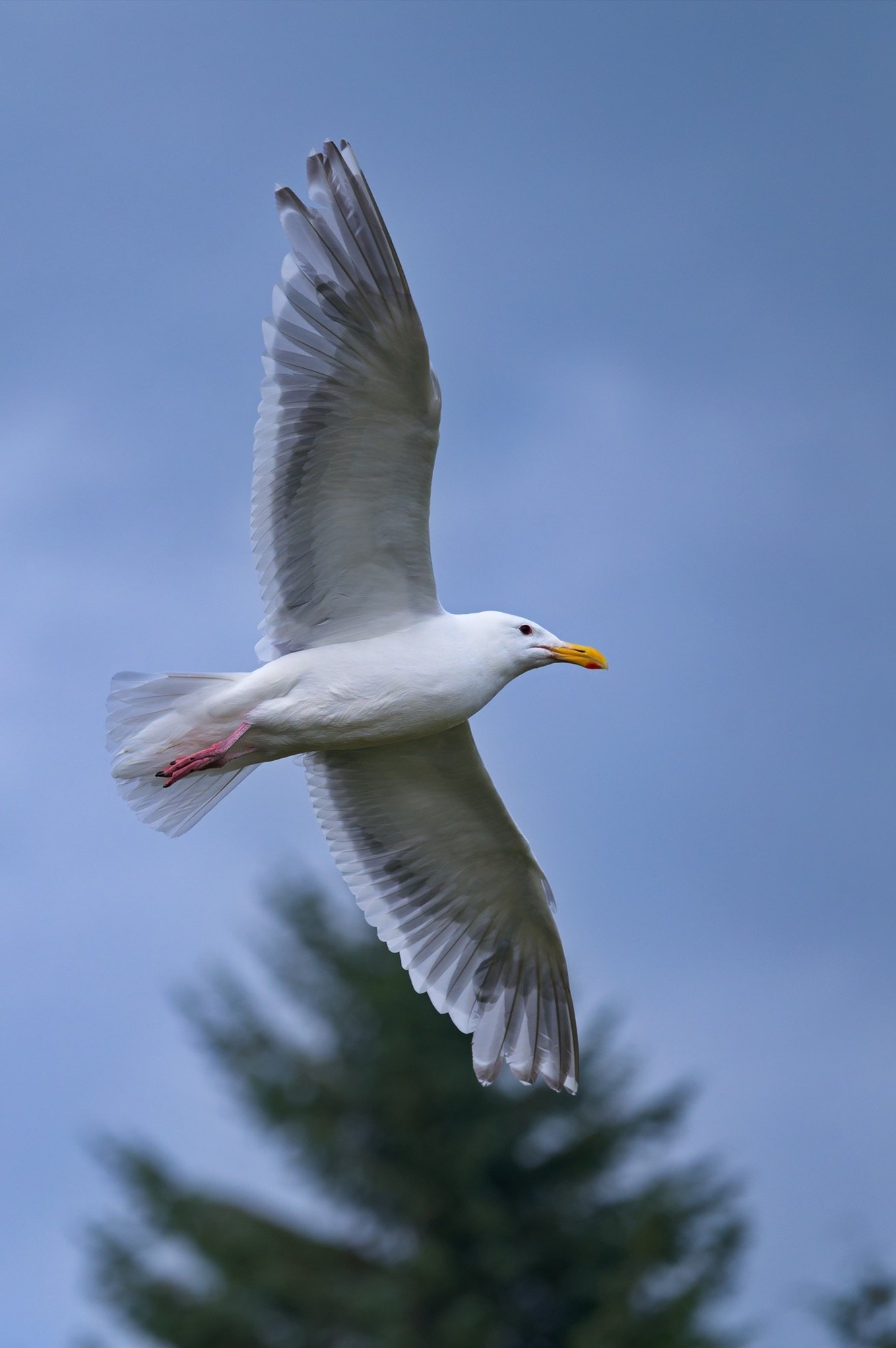 DSC_9997-DxO_DeepPRIME 3_resize.jpg