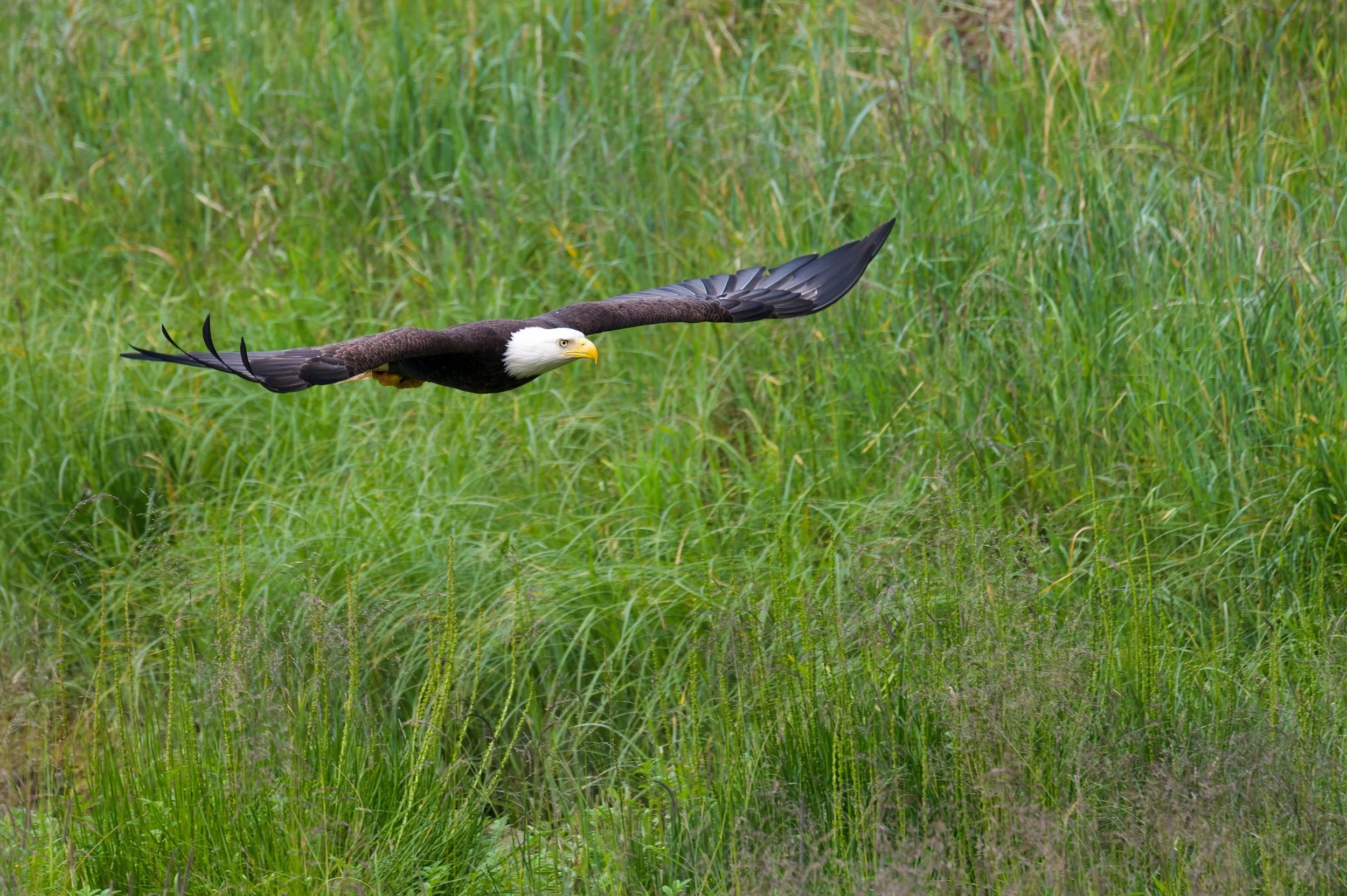 DSC_9141-DxO_DeepPRIME 3_resize.jpg