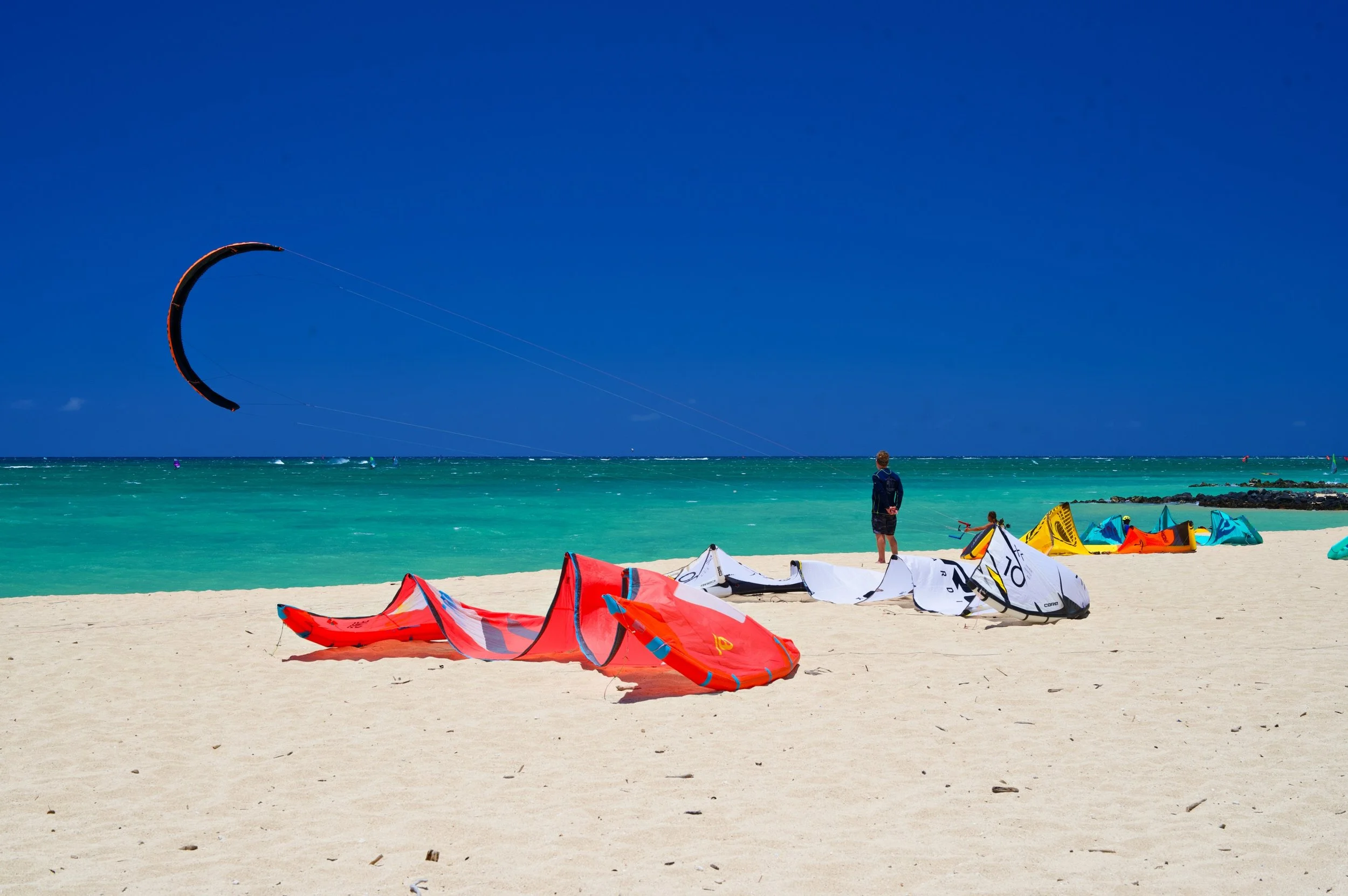 Kites at Rest Z62_5692_resize.jpg