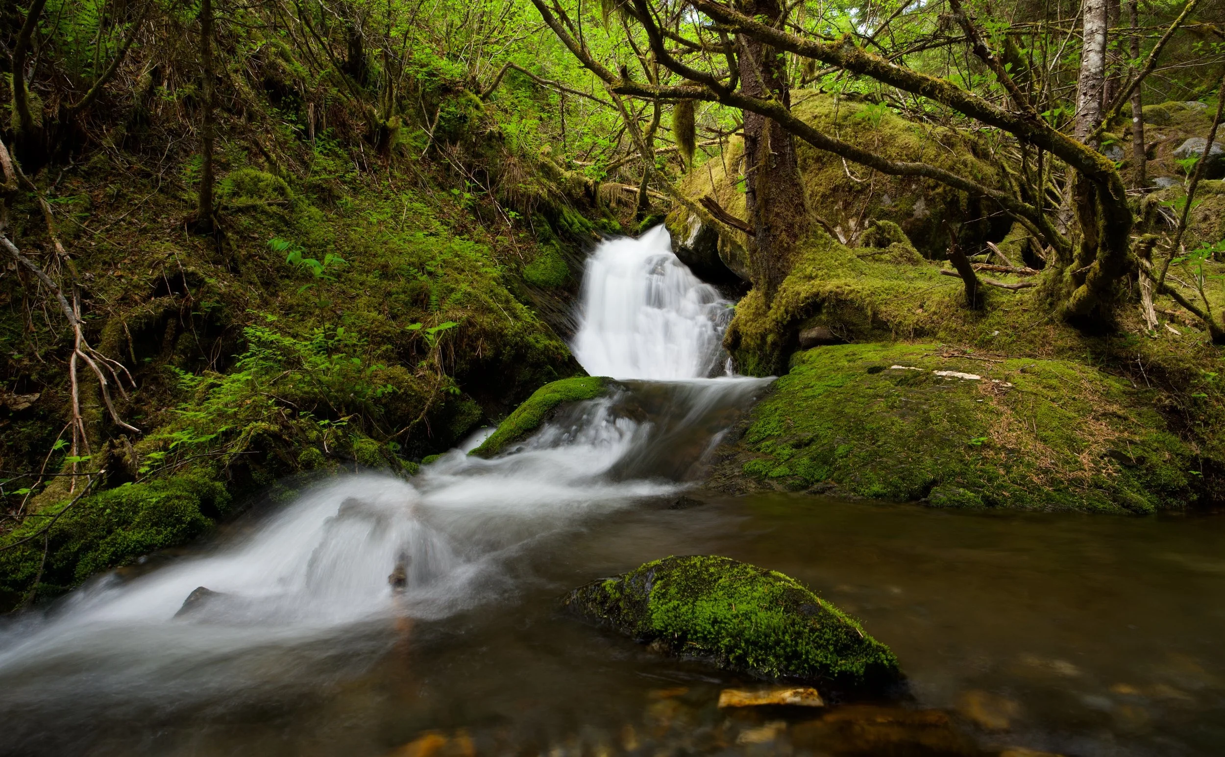 Waterfall moss (long exposure) DSC_7785_resize.jpg