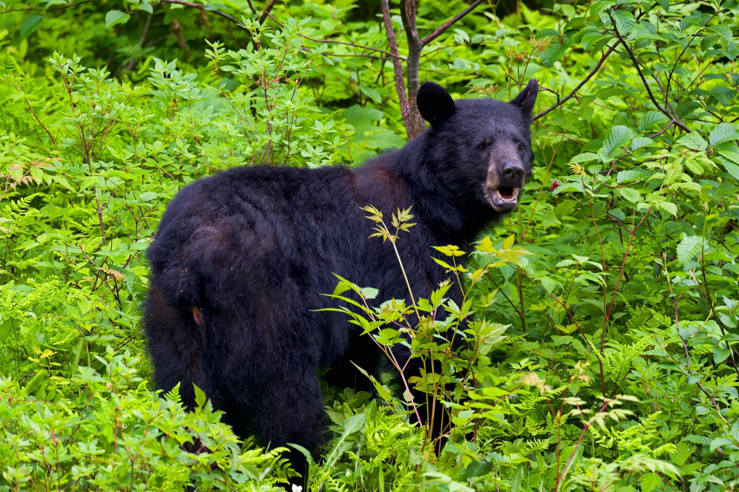 DSC_7728-DxO_DeepPRIME 3_resize.jpg