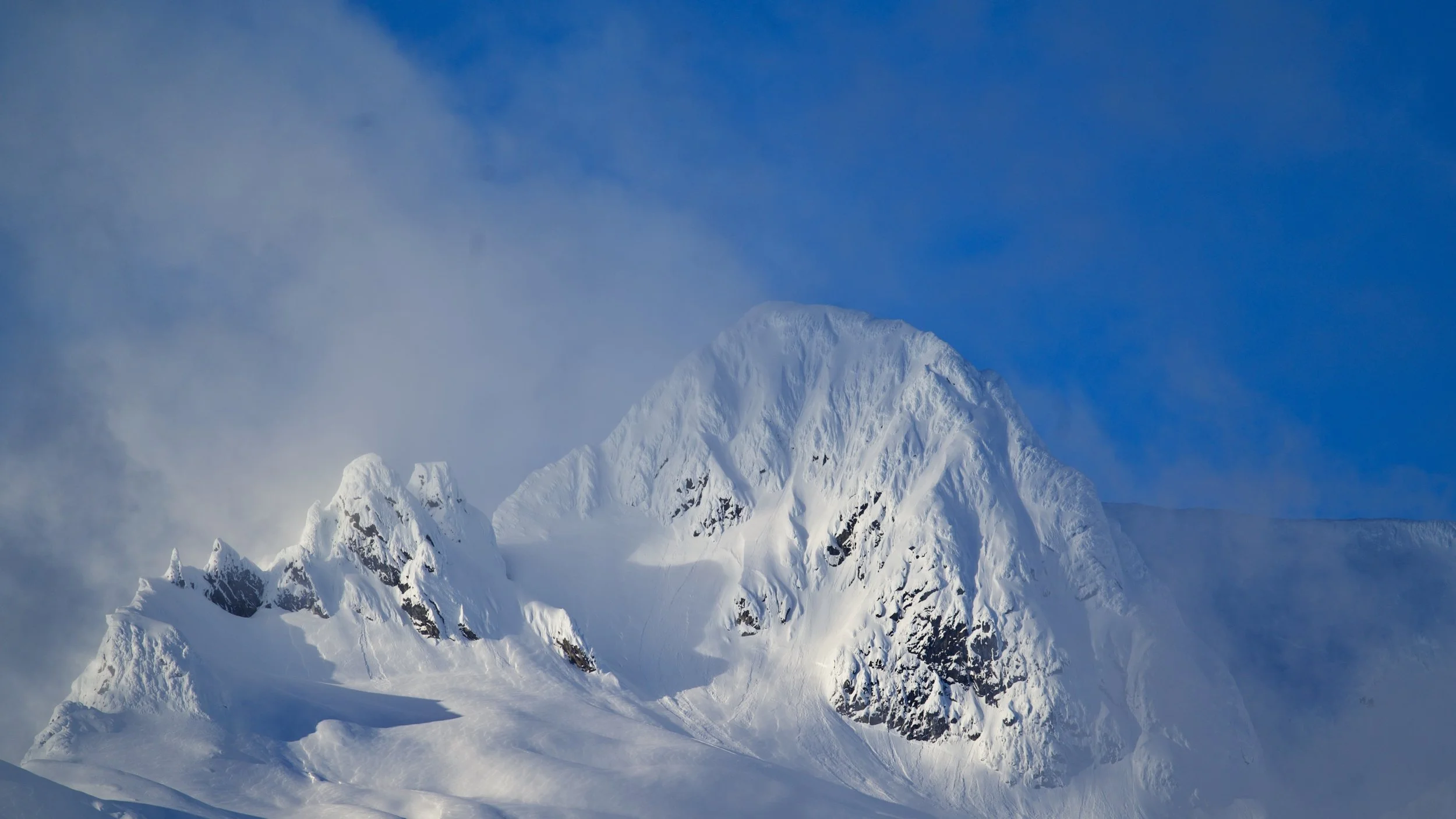 Mt Stroller White 2 Z62_5439_resize.jpg