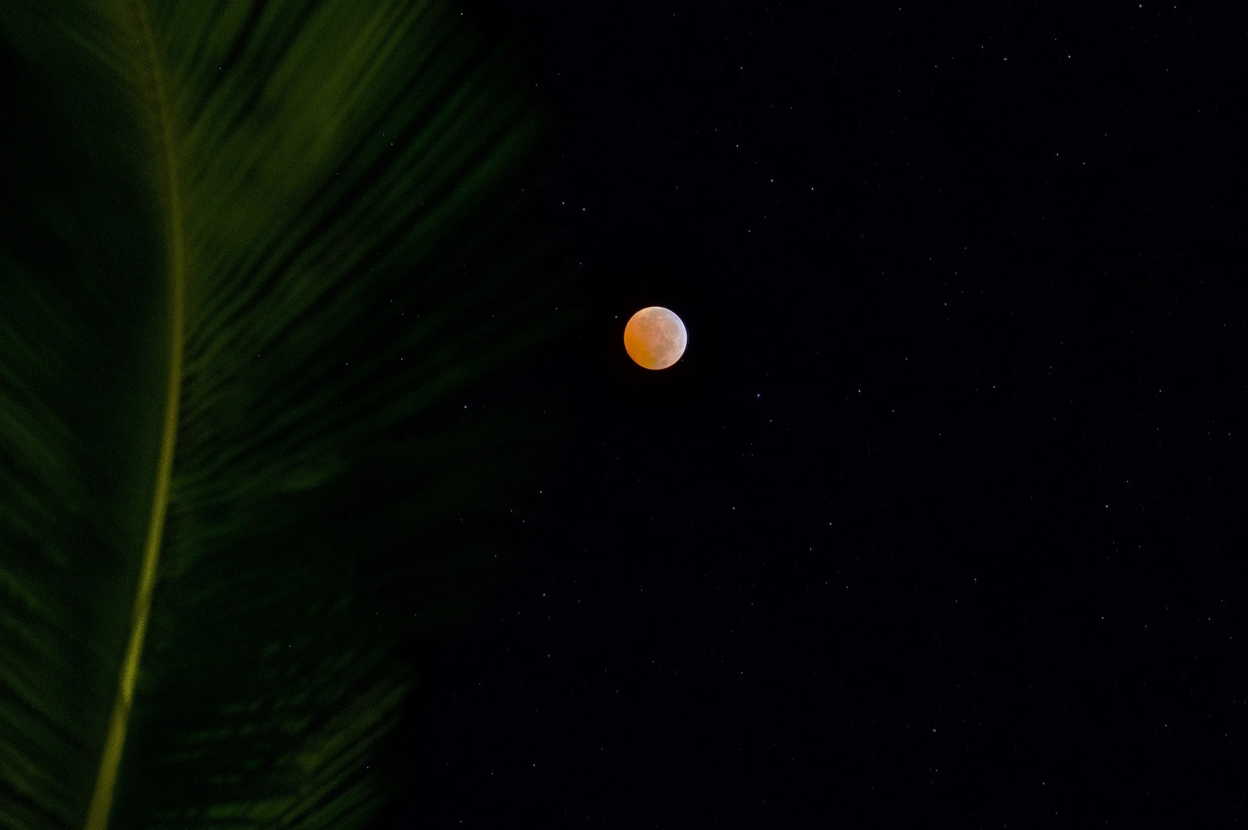 Eclipse 6 Z62_3422_resize.jpg
