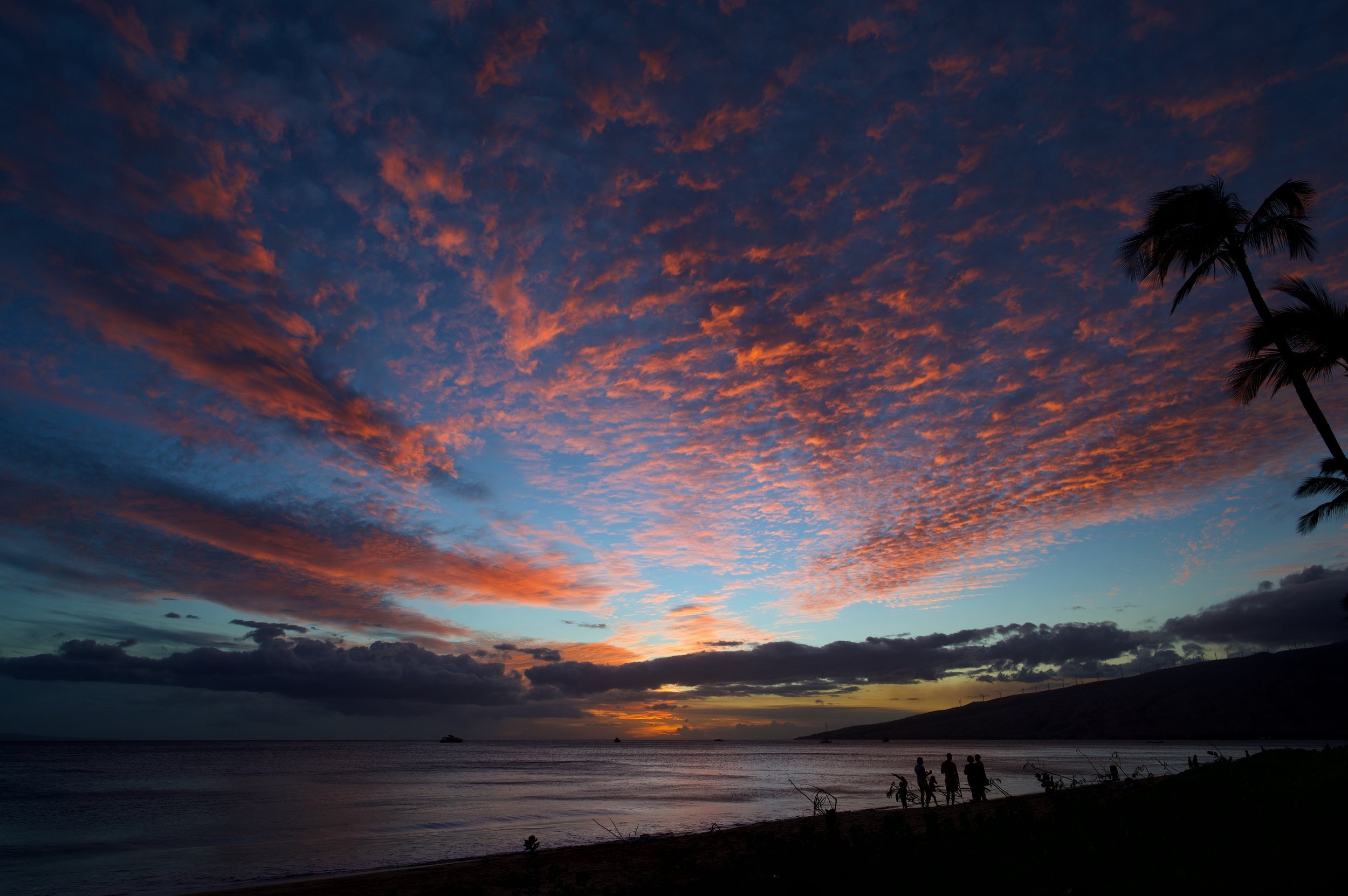 Sunset 1 Z62_3474_resize.jpg