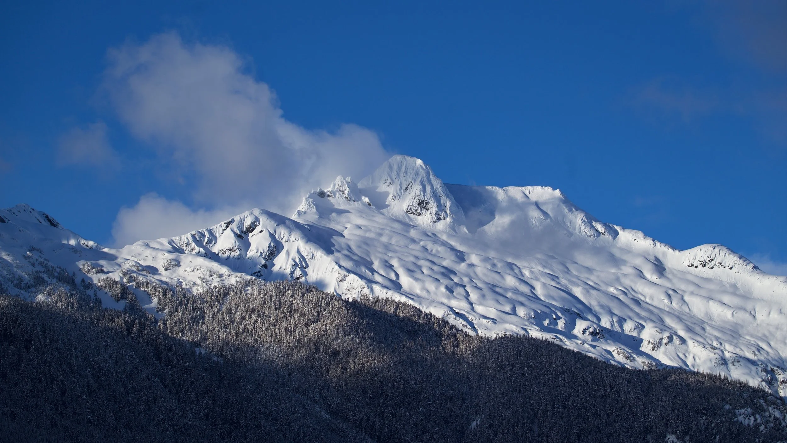 Mt Stroller White 1 Z62_5434_resize.jpg
