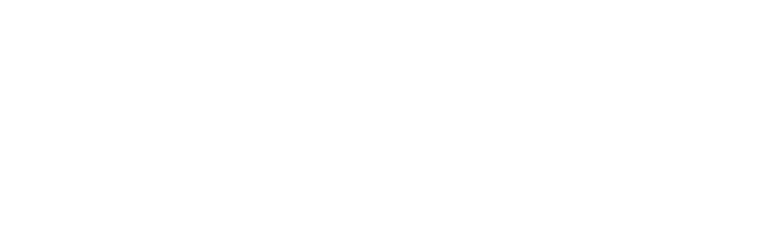 Erika Wolfel // Creative Direction &amp; Design