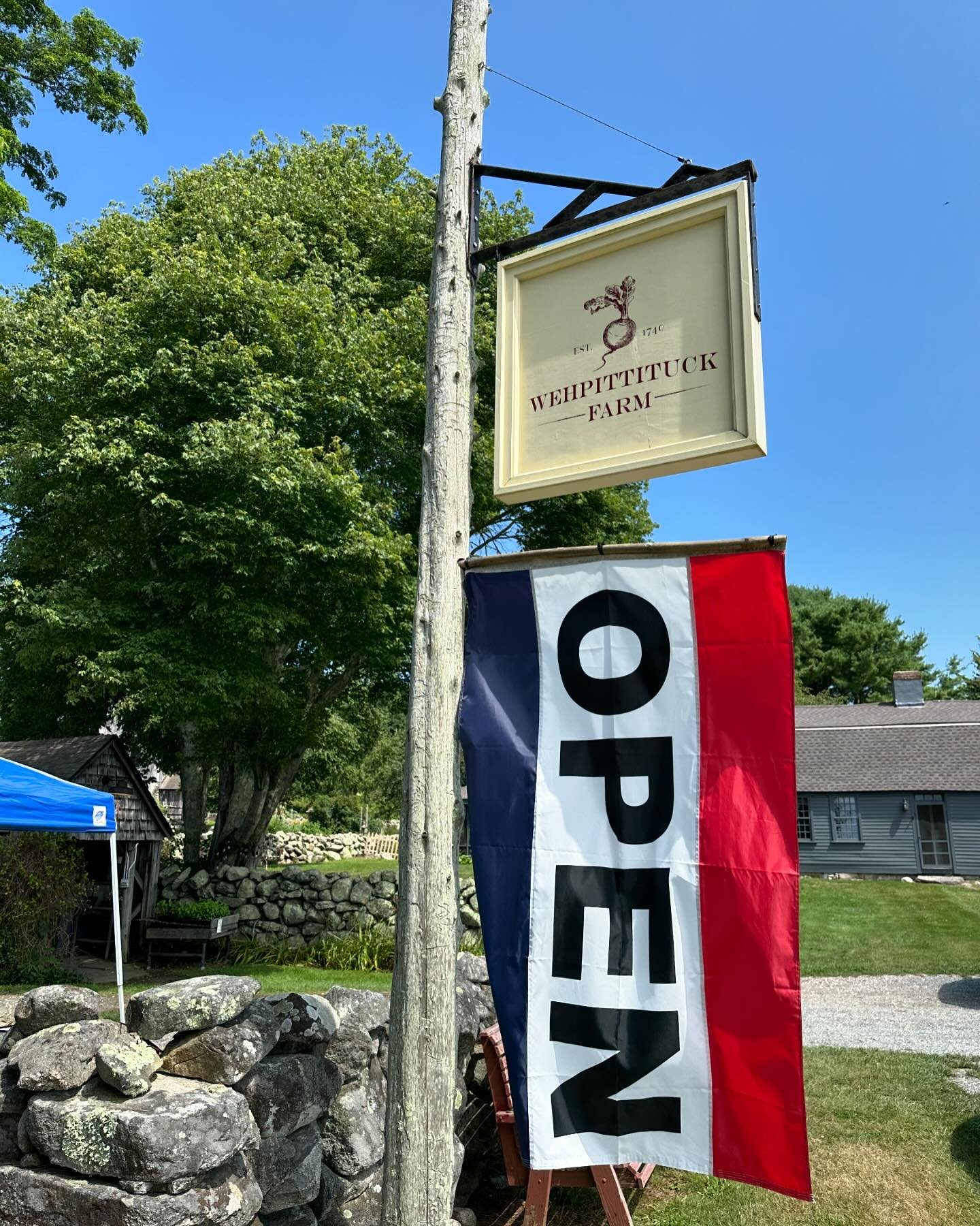 So grateful to be out here at the beautiful @wehpittituckfarm today, kicking off some farm stand sales at my first in-person this summer! 🌞

Stop on by to say hello and pick up a tea blend, syrup or oil. Good for you goodies! 
Keep an eye out all su