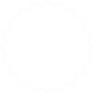 Star for Web.png