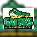Logo of Alligator Football Team featuring a cartoon alligator head and the text 'GATORS' with a green and black color scheme.