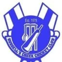 Blue and white emblem with a shield and cityscape, featuring text 'Est. 1976' and 'Deutscher Fussball Club'