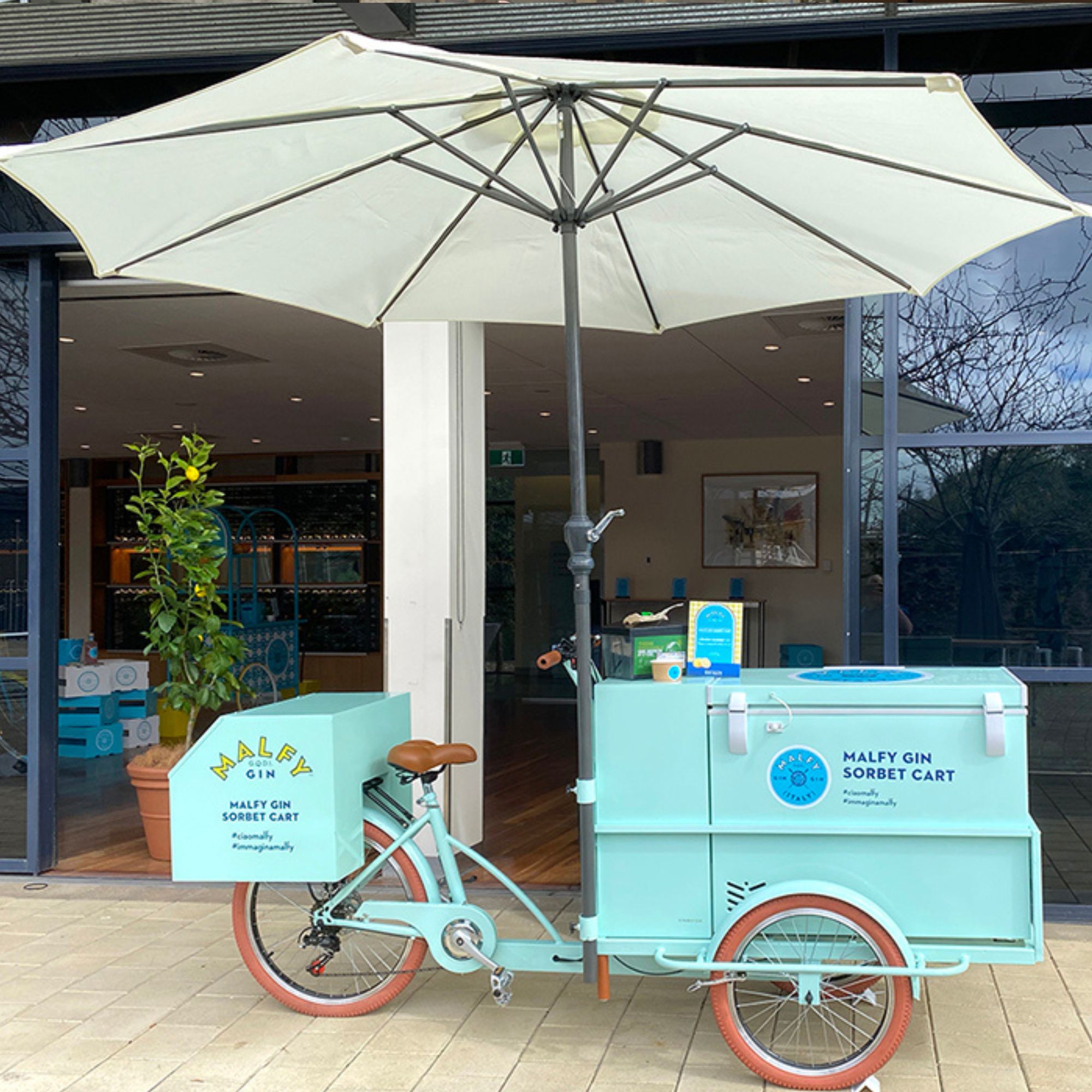 Ice Cream Trike Adelaide