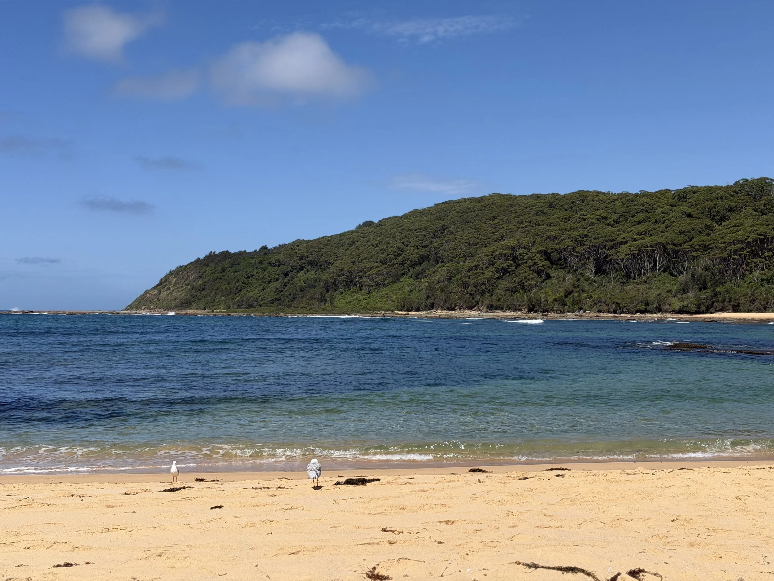 Private personal training studio in Bateau Bay, Central Coast. 1-on-1, small group, NDIS fitness & nutrition coaching for all levels.