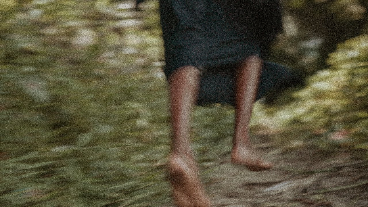 C0013T01.jpg