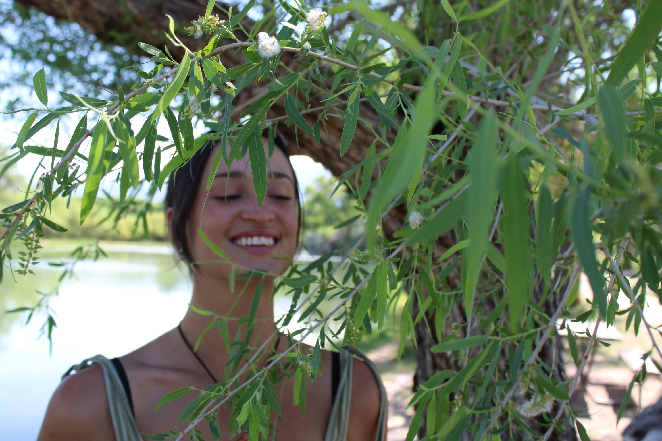 smiling trees.JPG