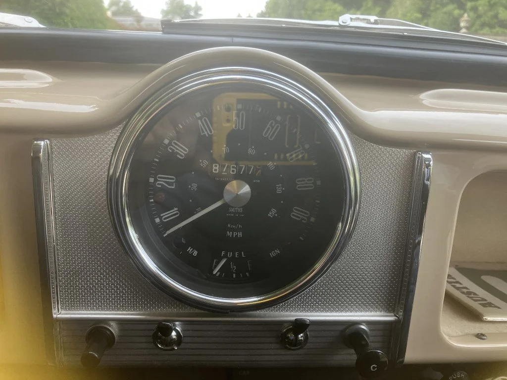 53 (Medium).JPG