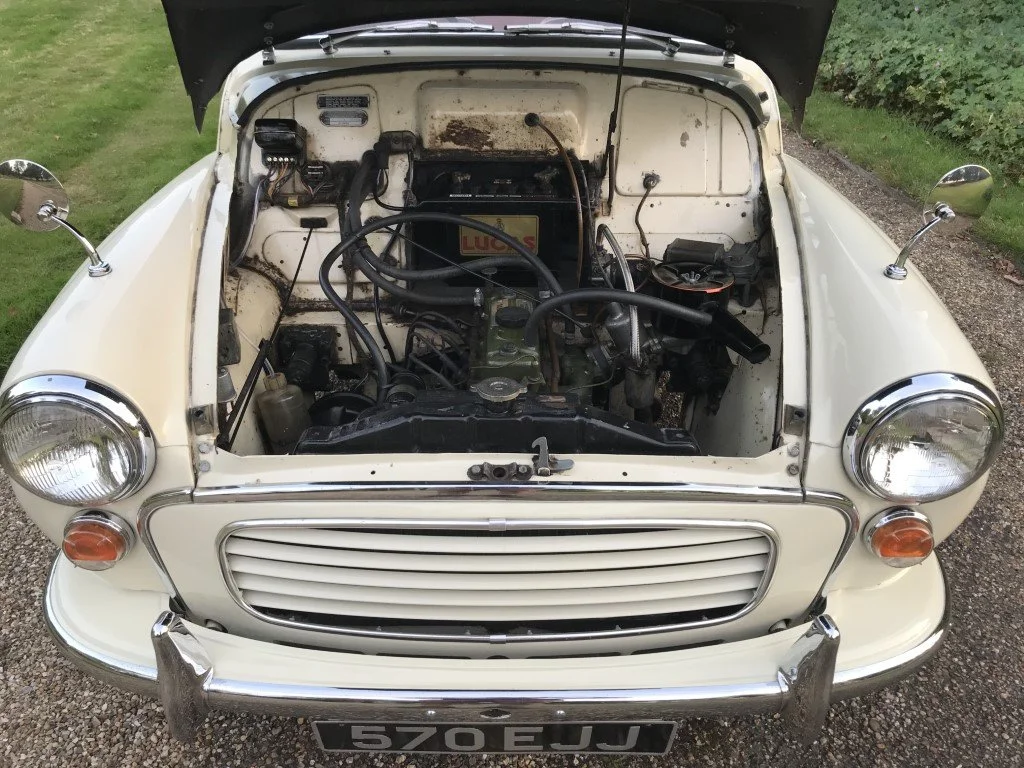 IMG_2648 (Medium).JPG