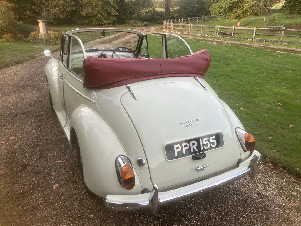 22 (Medium).JPG