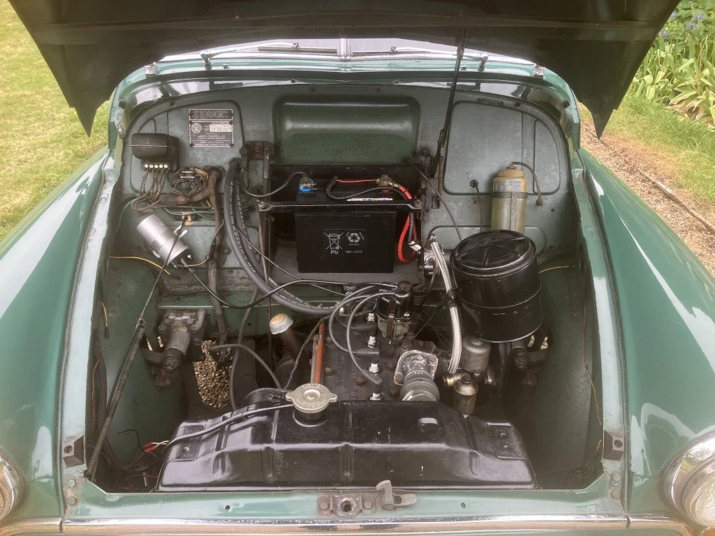 42 (Medium).JPG
