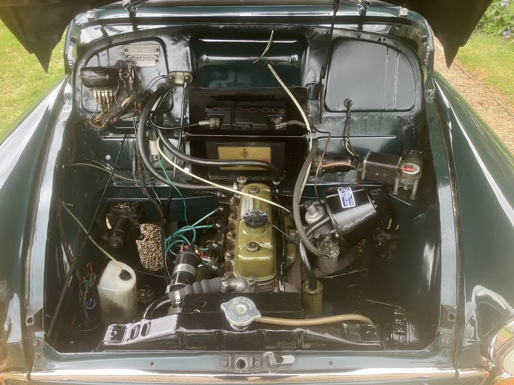 41 (Medium).JPG