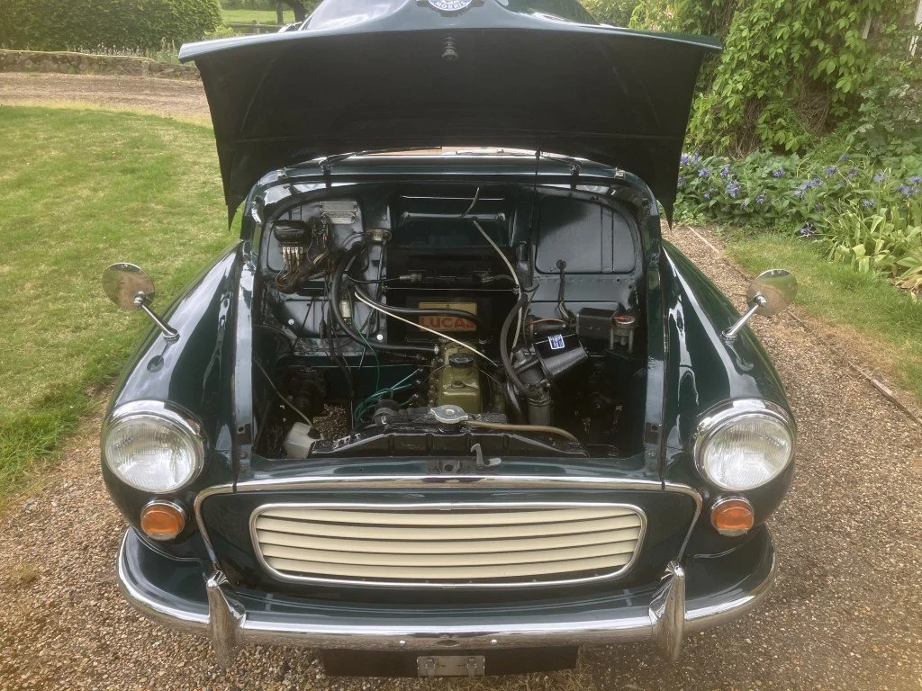 40 (Medium).JPG
