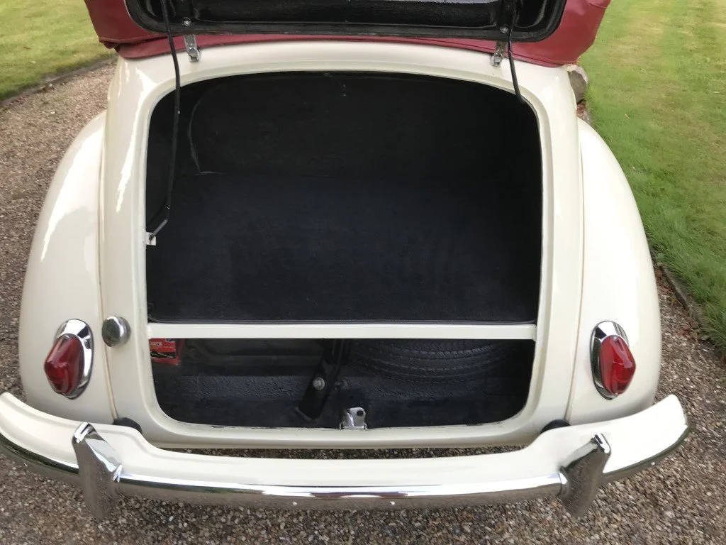 IMG_2645 (Medium).JPG