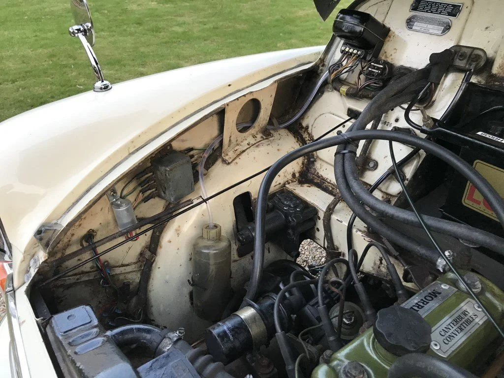 IMG_2652 (Medium).JPG