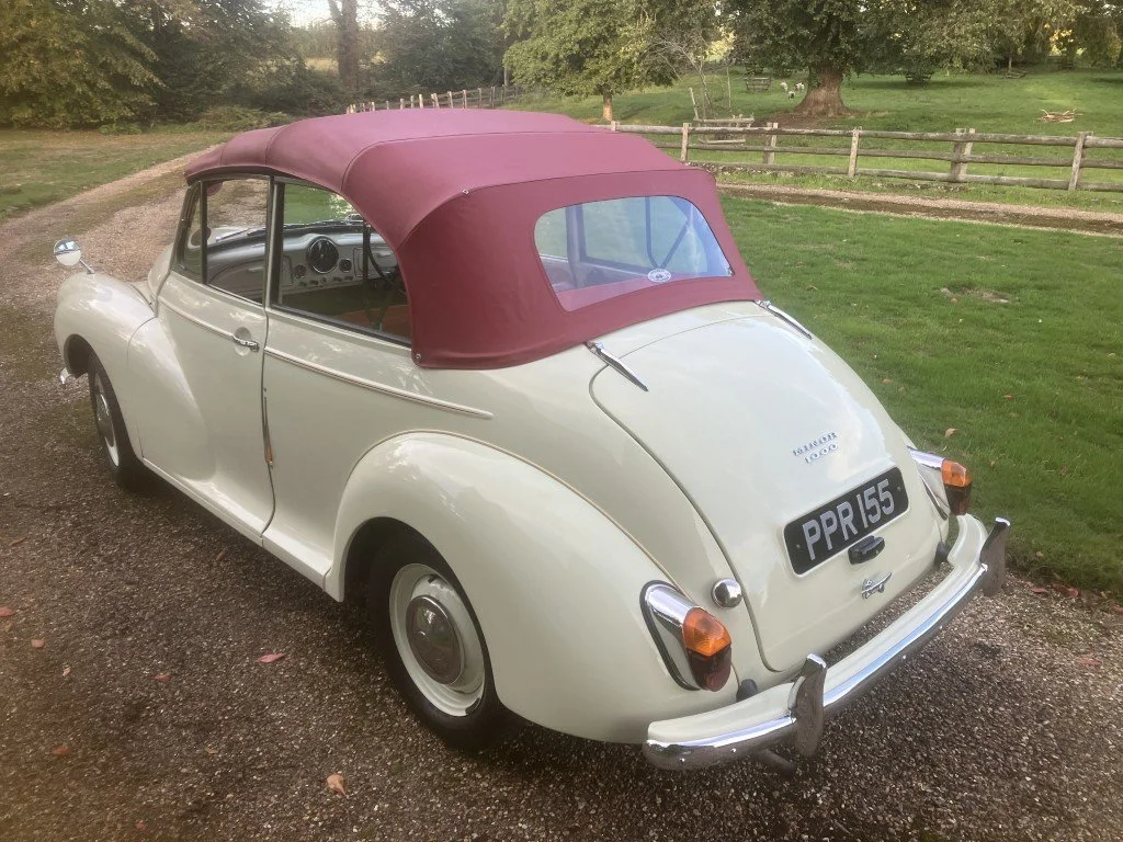 07 (Medium).JPG