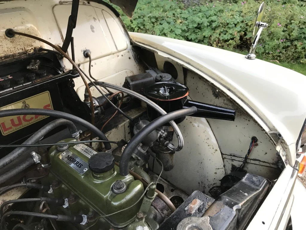 IMG_2653 (Medium).JPG