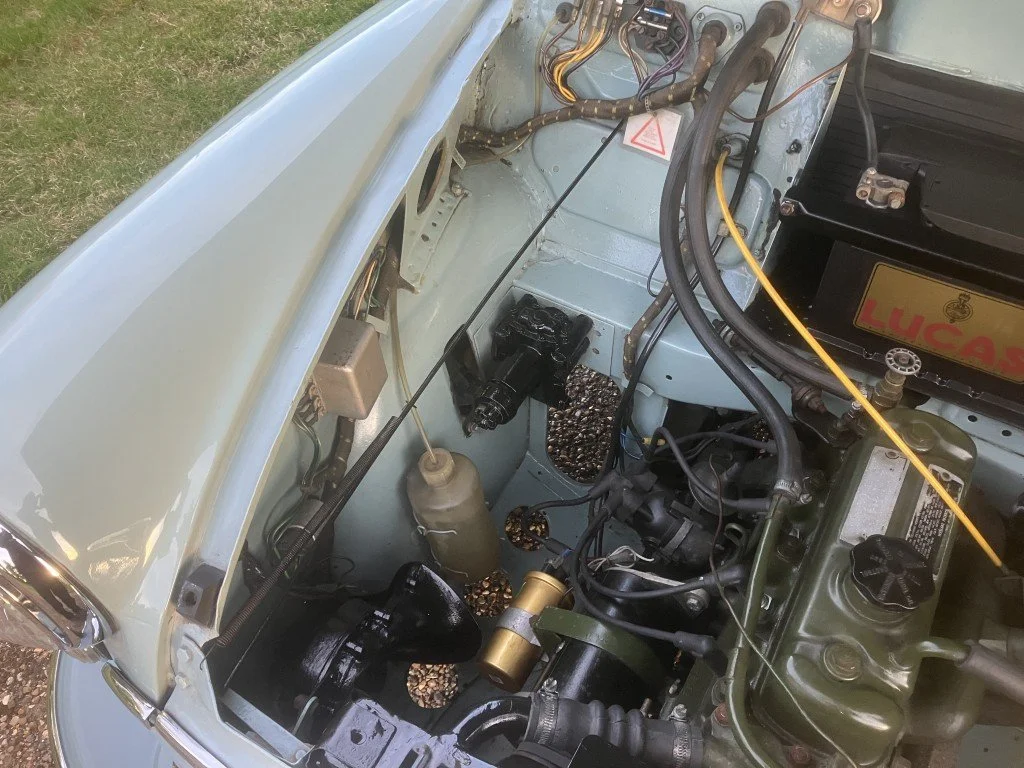 46 (Medium).JPG