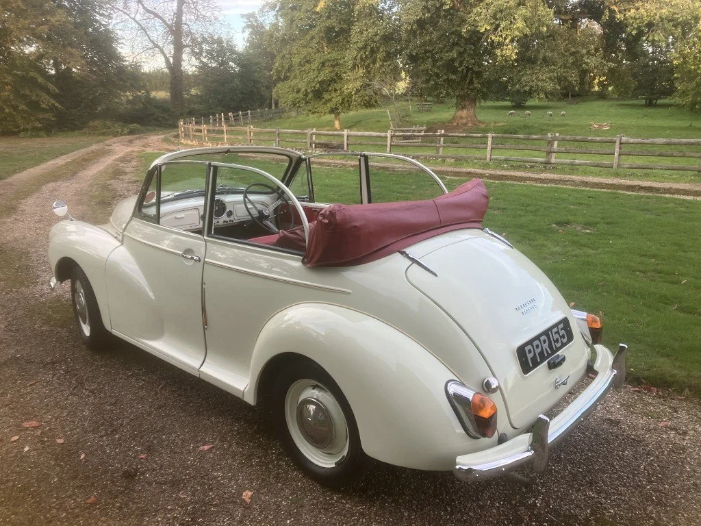 21 (Medium).JPG