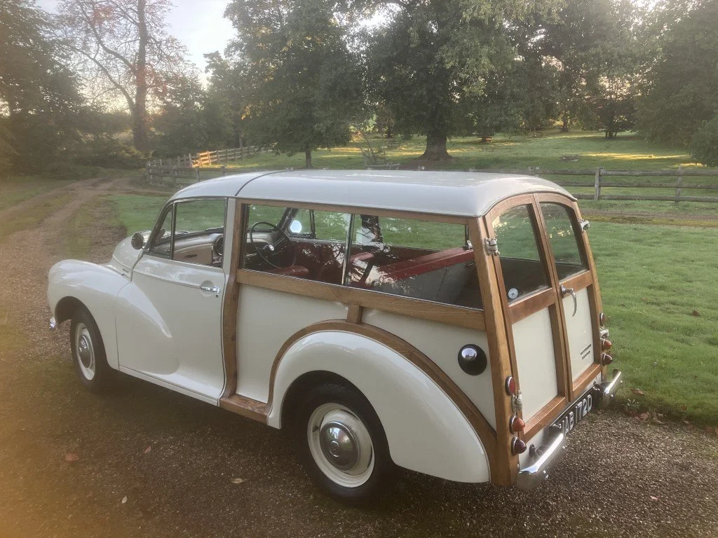 16 (Medium).JPG