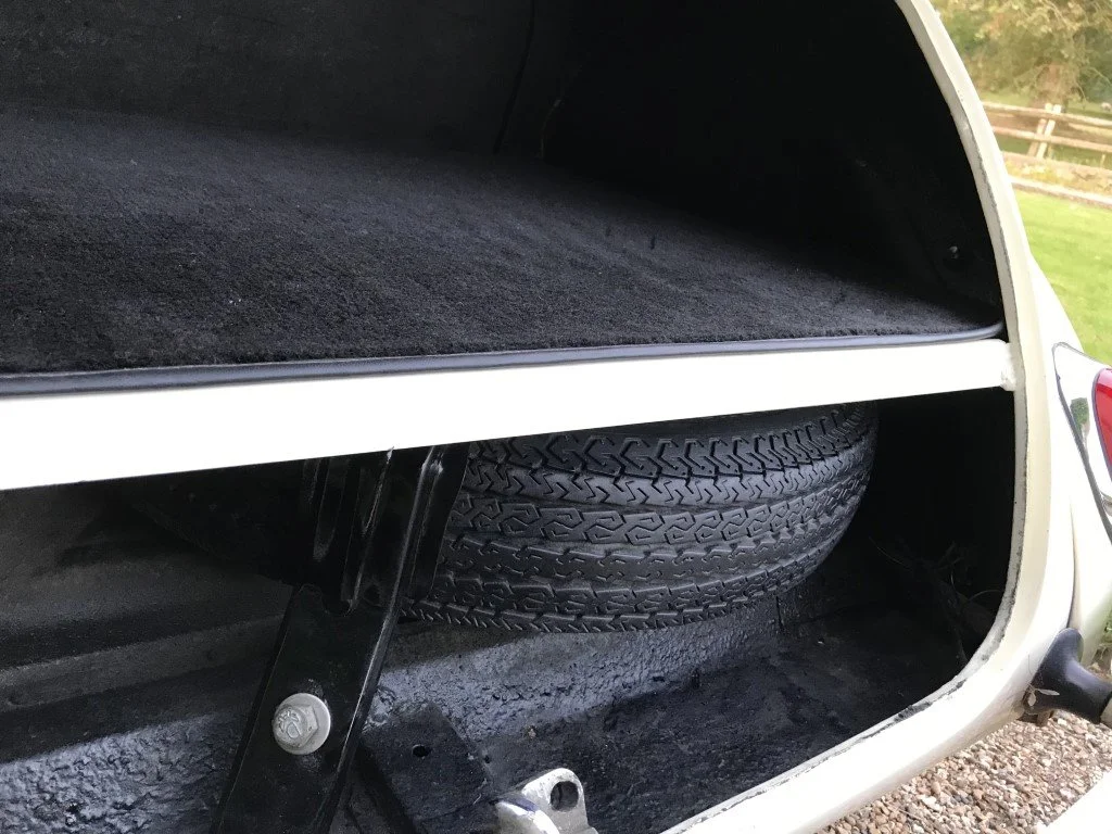 IMG_2646 (Medium).JPG