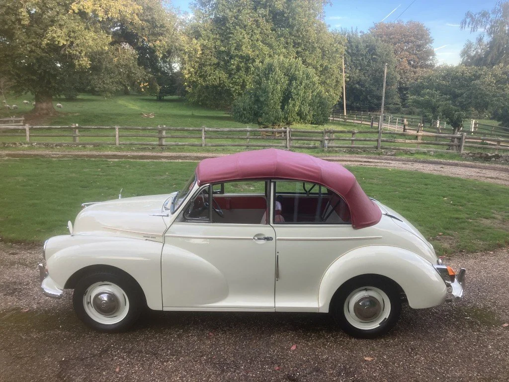 06 (Medium).JPG