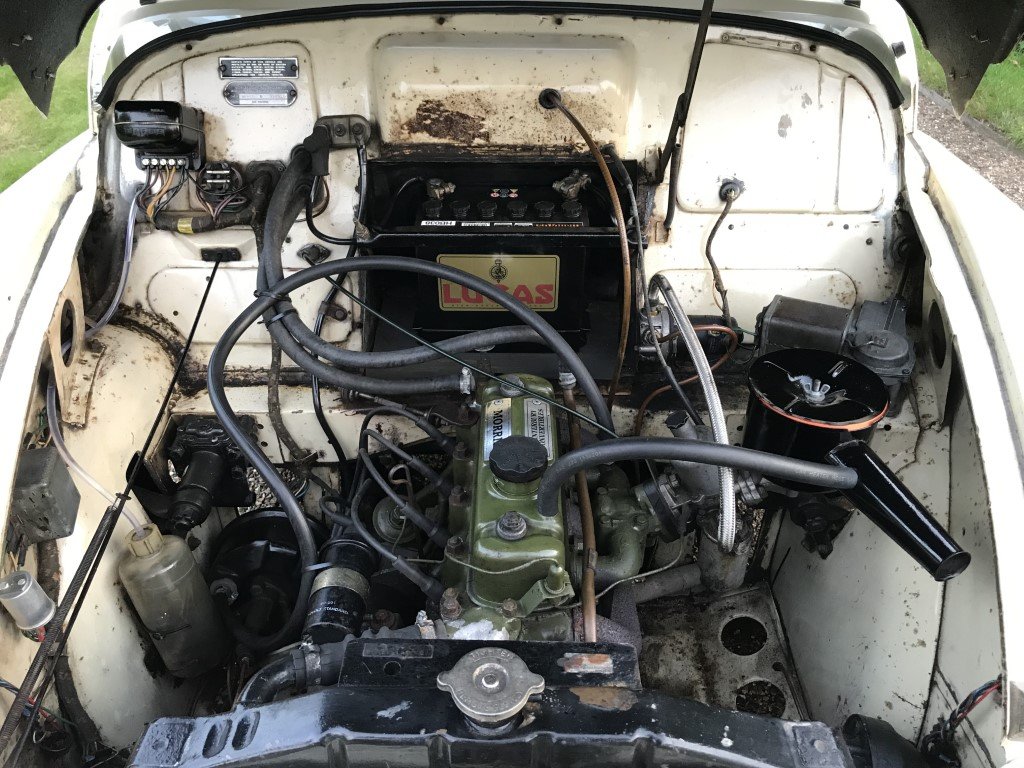 IMG_2649 (Medium).JPG