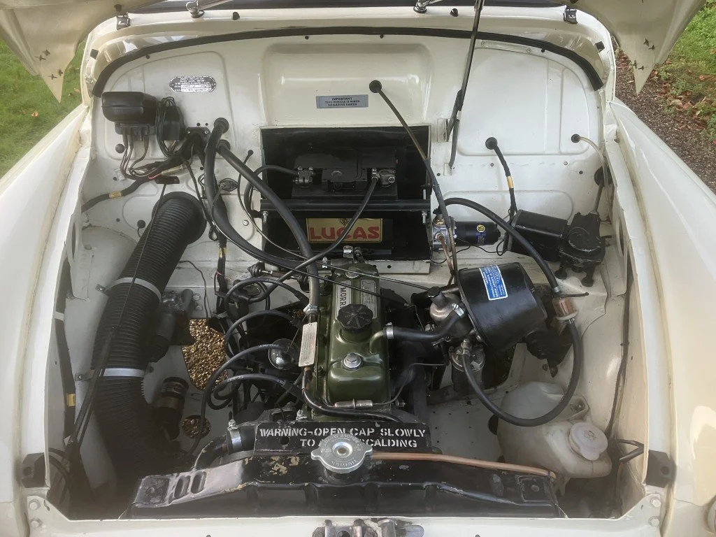 56 (Medium).JPG
