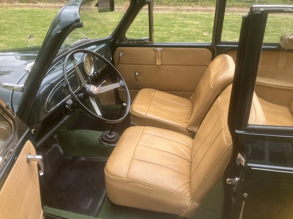 31 (Medium).JPG