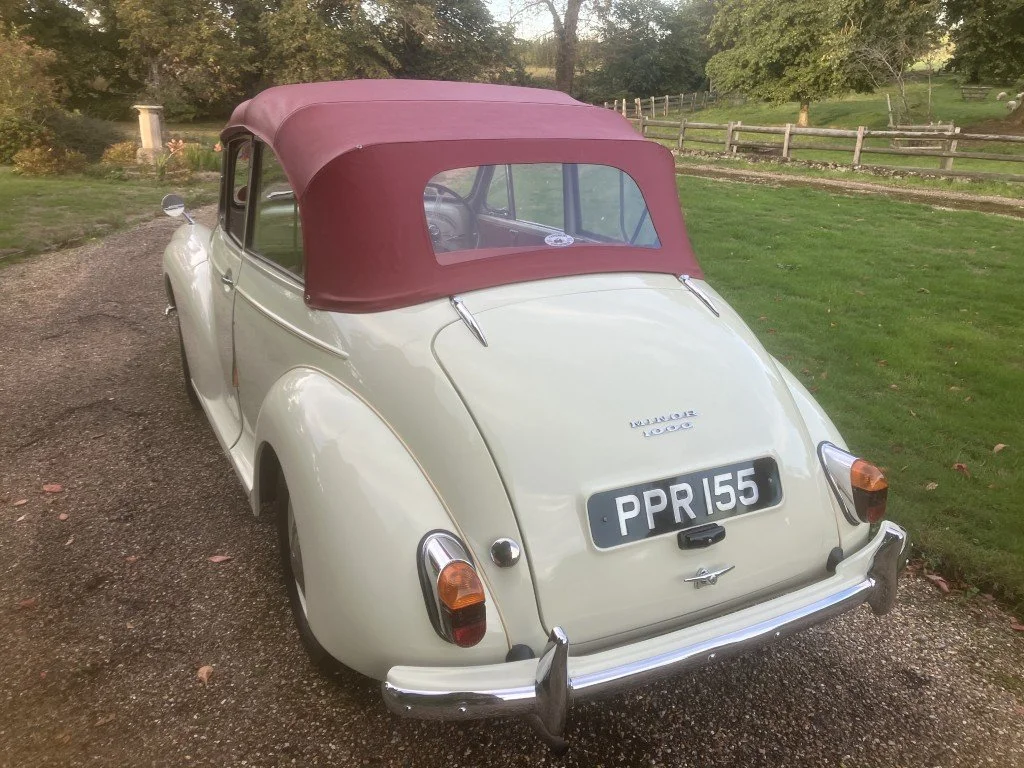 08 (Medium).JPG
