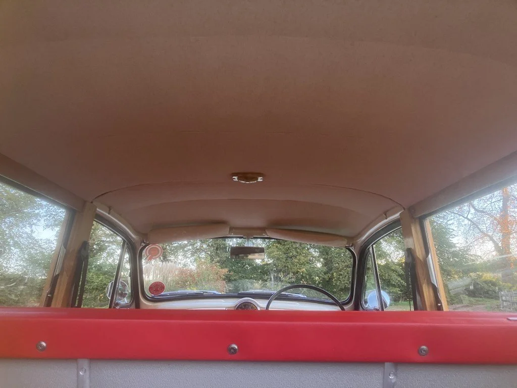 53 (Medium).JPG