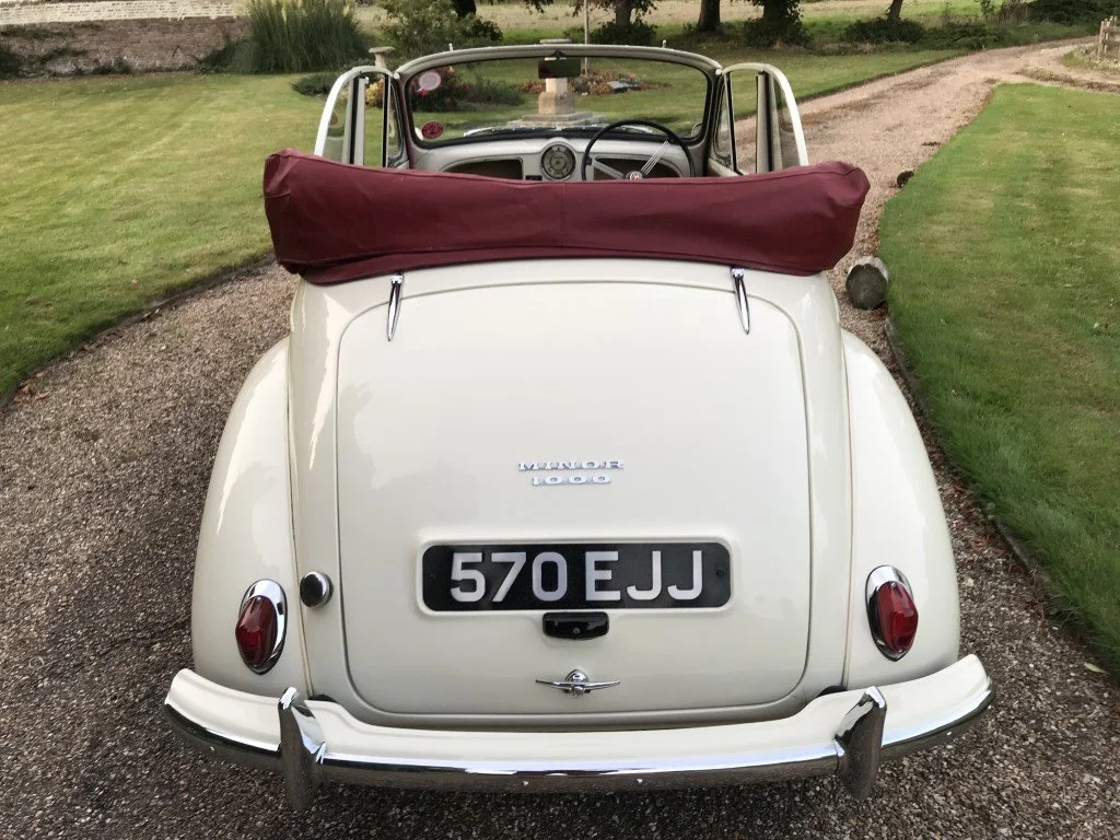 IMG_2626 (Medium).JPG