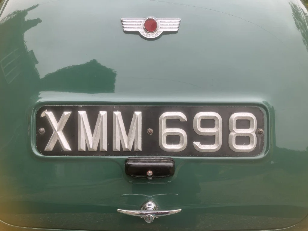 49 (Medium).JPG