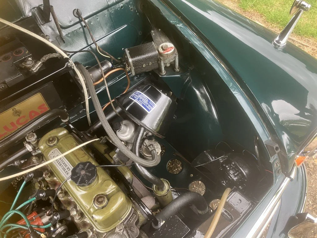 43 (Medium).JPG